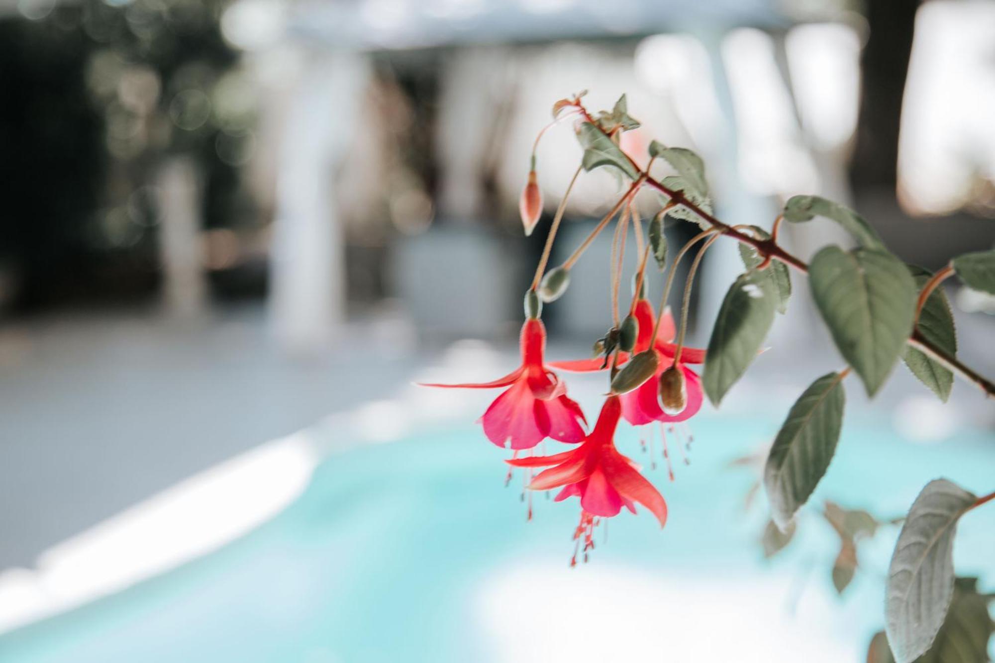 קווינסטאון The Symphony Guest House מראה חיצוני תמונה