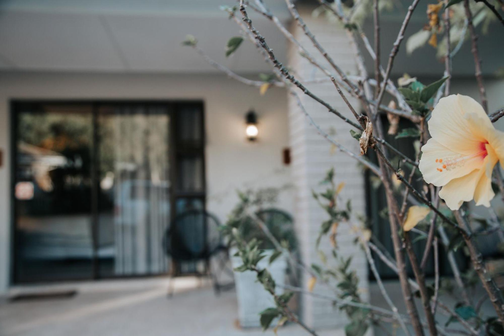 קווינסטאון The Symphony Guest House מראה חיצוני תמונה