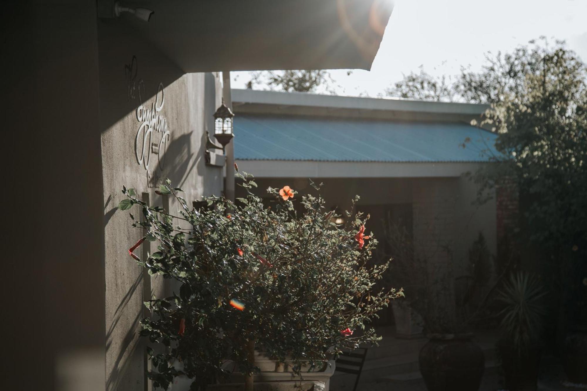 קווינסטאון The Symphony Guest House מראה חיצוני תמונה