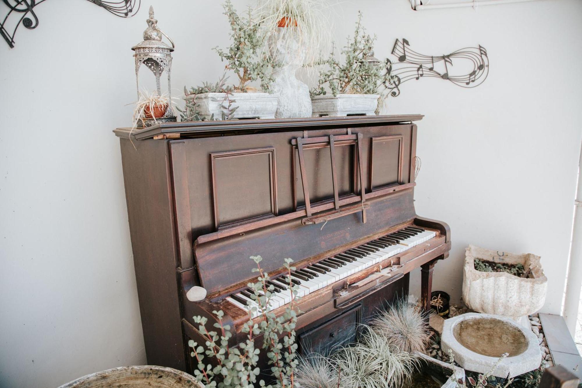 קווינסטאון The Symphony Guest House מראה חיצוני תמונה